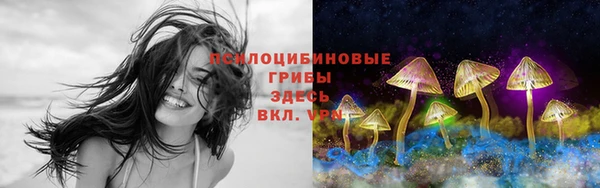 герыч Алексеевка