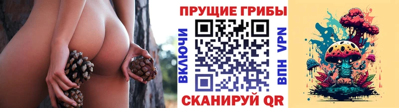 Галлюциногенные грибы ЛСД Амурск