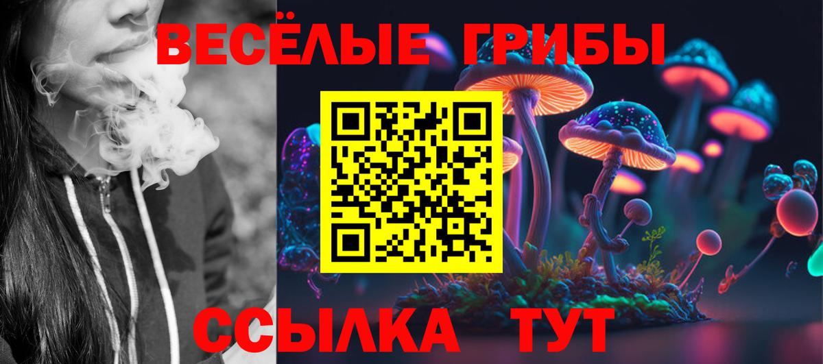 Псилоцибиновые грибы мухоморы Амурск